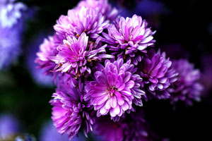 网站攻击工具手机版